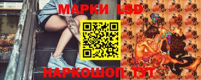 твердый Новокубанск