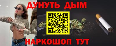 крисы Новозыбков