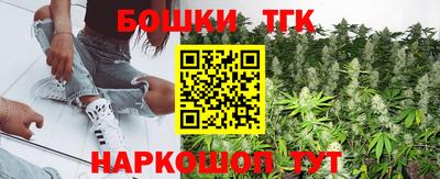 крисы Новозыбков