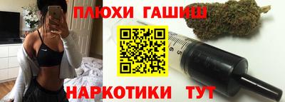 крисы Новозыбков