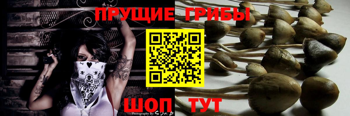Галлюциногенные грибы Magic Shrooms  Псилоцибиновые грибы Cubensis  Сатка  Вход с VPN 